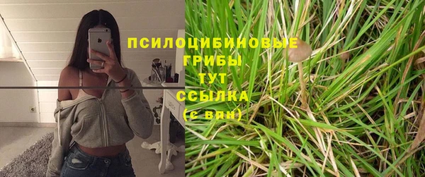 МДПВ Нефтекумск