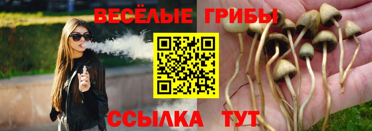 Псилоцибиновые грибы GOLDEN TEACHER  Вход с VPN  Галлюциногенные грибы GOLDEN TEACHER  Октябрьский 