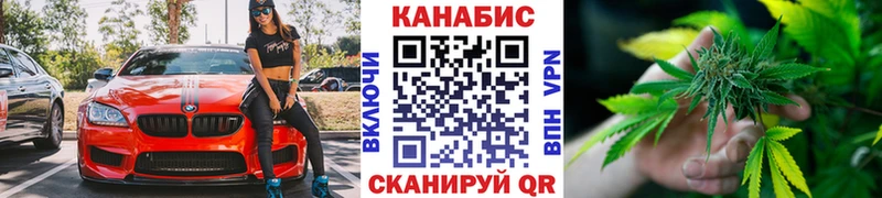 Каннабис OG Kush  Октябрьский 