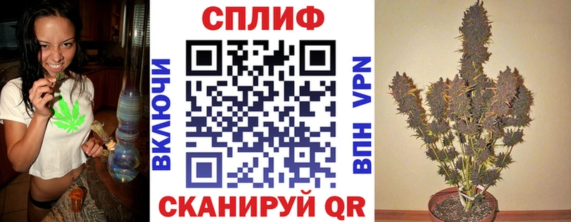 Бошки марихуана Amnesia Октябрьский